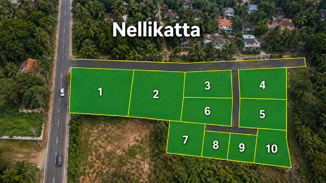 n1